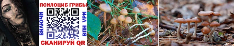 Псилоцибиновые грибы Magic Shrooms  omg ссылки  Североморск 