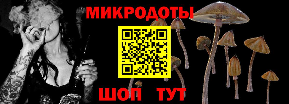 Галлюциногенные грибы мицелий  Вход с VPN  Североморск 